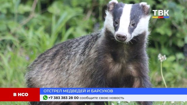 Дайджест 09.06.25
