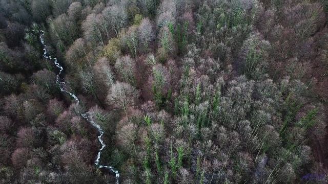Эта музыка превратит любое путешествие в романтическое приключение - Top Speed -- Kirk Osamayo -- Se