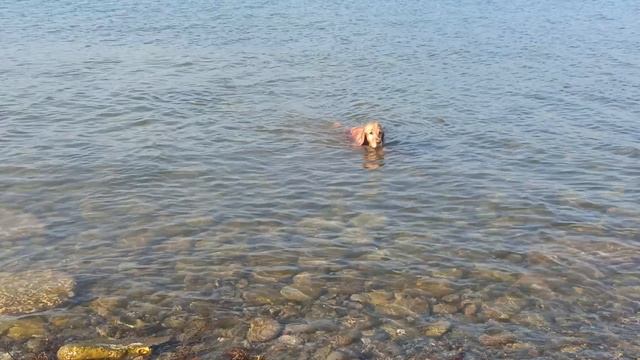 VID_20250609_173608