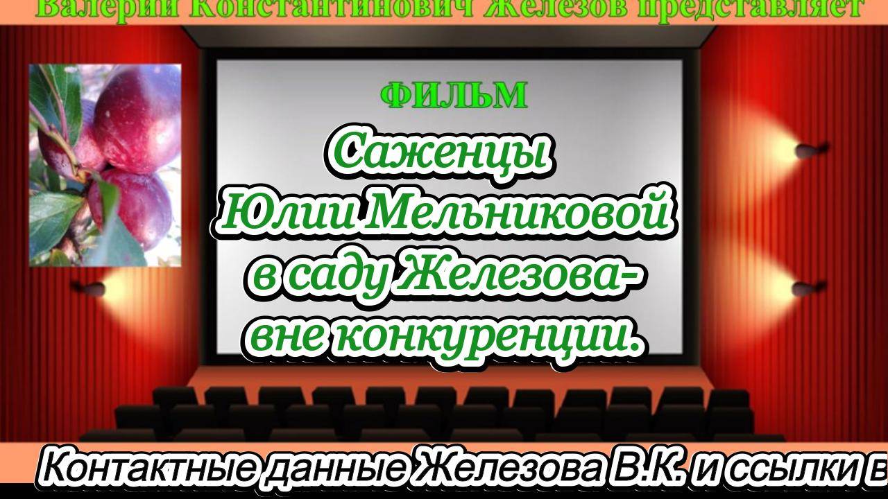 Саженцы Юлии Мельниковой в саду Железова - вне конкуренции. Часть 1.