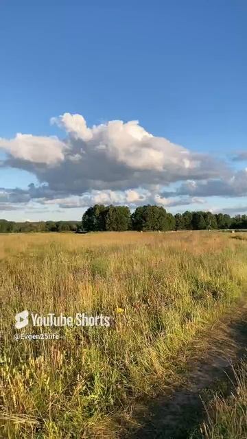 Лето в деревне. #life #nature #путешествия #природа #наприроде #лето #деревня