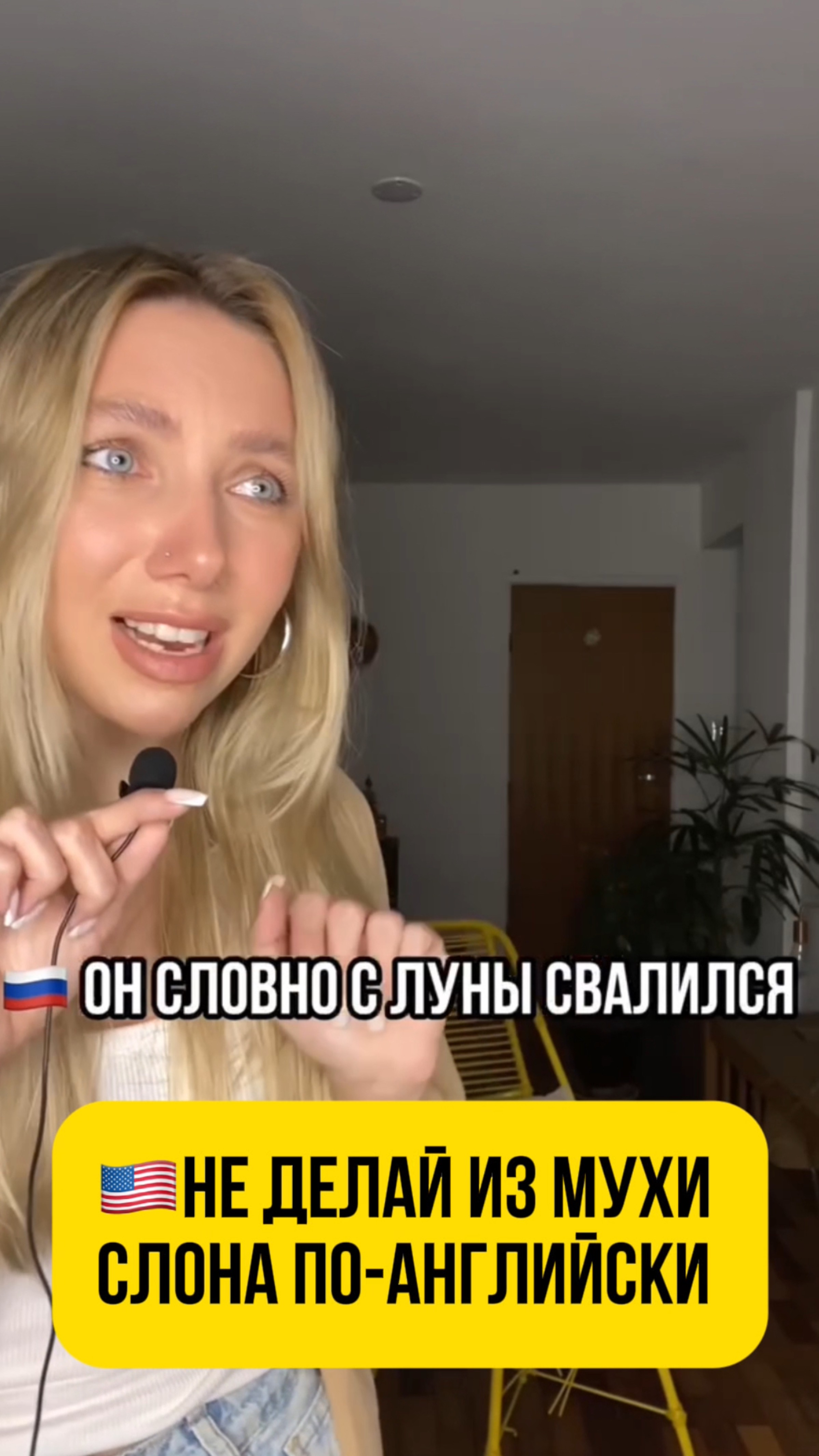 🇺🇸Не делай из мухи слона по-английски!