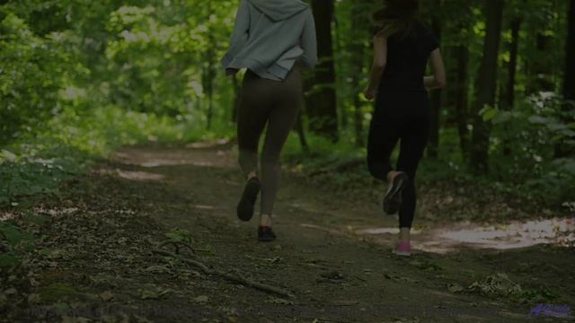Эта музыка заставит ваше сердце биться чаще - попробуйте не плакать! - Darker Shades of Wizardry --