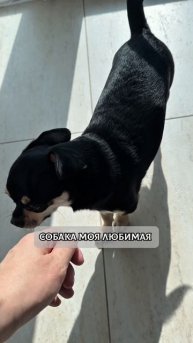 Тг - Этичный Маркетинг с Лучистой