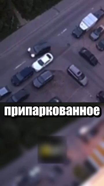 i11ushenka (229)