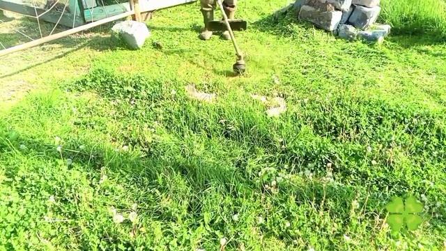 Деревенская жизнь .пос .Санкино 9.06.2025
 прогулка с Ваней 🧒
