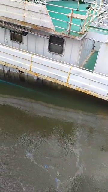 В Красноярском крае в реке Енисей произошёл разлив 30 тонн топлива из повреждённого судна.