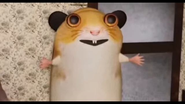 XRecorder_20250609_18.mp4