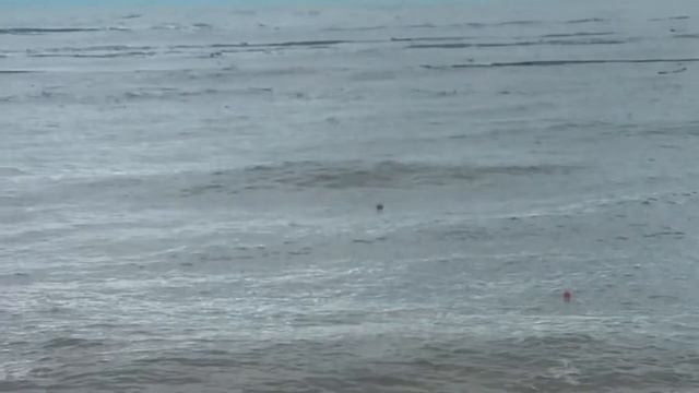 Какое бывает море страшное, после шторма.