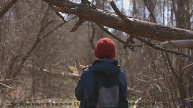 Музыка раскрывает Землю так, как не покажет ни один фильм - Moves -- Makaih Beats -- Moves