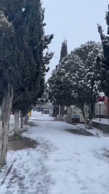 Судак 2022. Кипарисовая Аллея