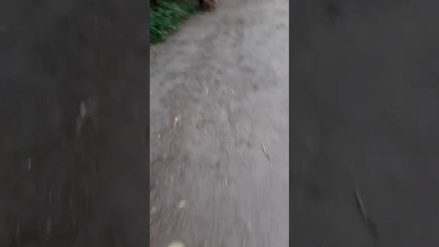 Спец задание