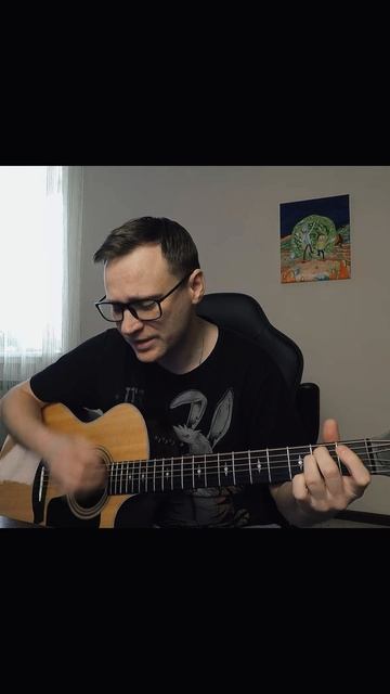Нева великолепный вид #сплин #кавернагитаре #acoustic #гитаракавер #coversong #песниподгитару