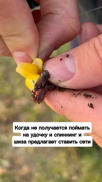 Мужчины признавайтесь!
