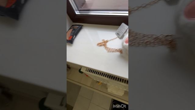 Выиграла сумку.