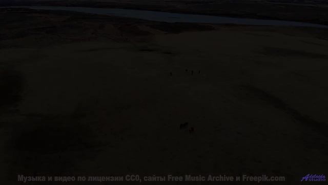 Танцуйте под этот трек - он создан для влюблённых! - Oxforf_by_Night -- Koi-discovery -- Ante-Chrysa