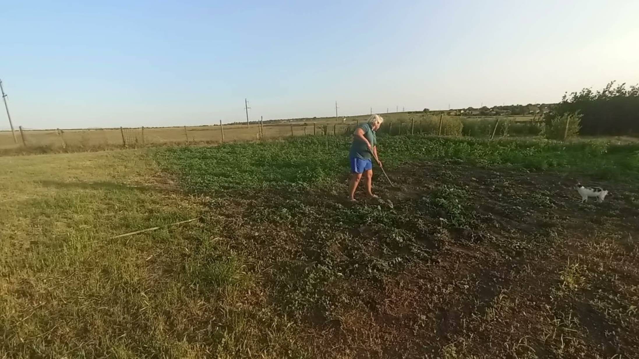 Наталья Губарева. РАСПРЕДЕЛИЛИ ОБЯЗАННОСТИ...ВСЕ ИДЕТ ПО ПЛАНУ 😍
