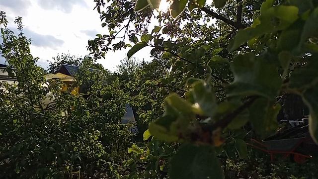 VID_20250608_180317