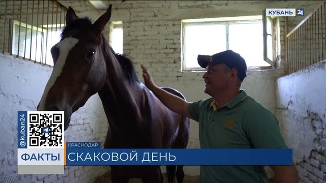Скачки чистокровных лошадей прошли на Краснодарском ипподроме