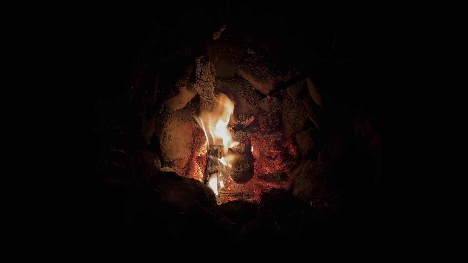 Землянка у ручья. Заяц в лесу. Мыши и чай. Мясо на углях в фольге
