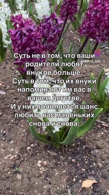 f197063ba2934ea5961436a9b4160849