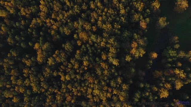 Песня, от которой по коже бегут мурашки страсти! - Chapeau! -- Phillip Gross -- Non-Music