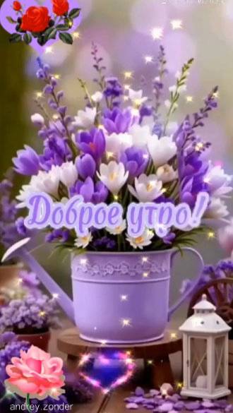Доброе утро!) Прекрасного дня!) #доброеутро