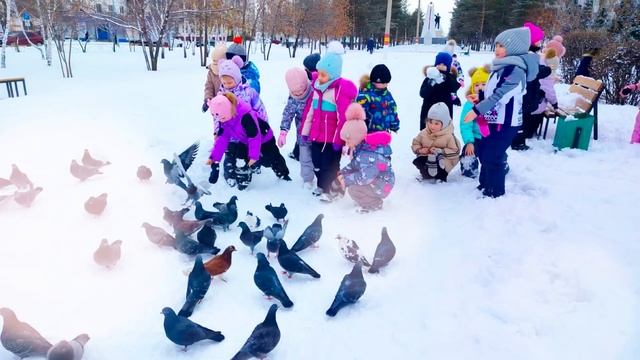 Социальный видеоролик «Крылья над городом»