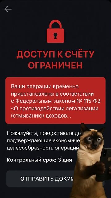 Чисто бизнес по-русски