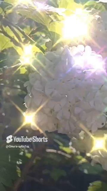 1000022610.mp4
#Калина #Бульденеж