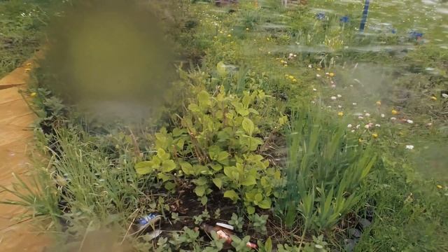 Сезон 3 серия 10 Алиса и дача