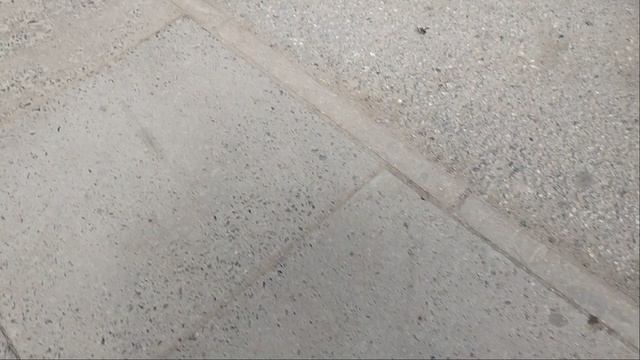 6 июня 2025 г. Автобус 96 маршрут МАЗ-203.947 38033 Железнодорожная станция Обухово