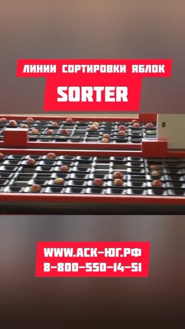 Линия сортировки яблок SORTER от АСК-ЮГ