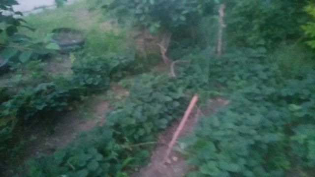 VID_20250603_201741