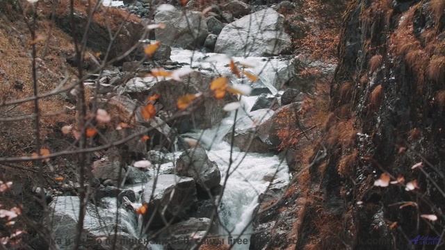 Пейзажи раскрываются так, как без музыки не способны - Darshan -- Blue Lotus -- Blue Lotus