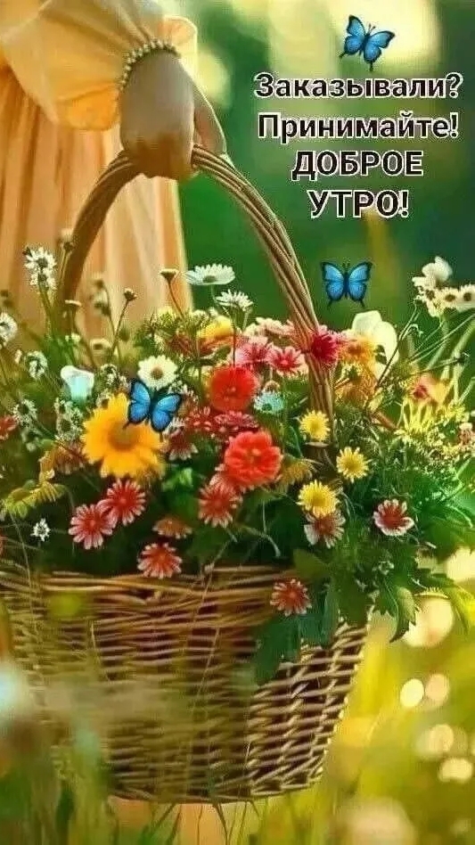 #доброе_утро