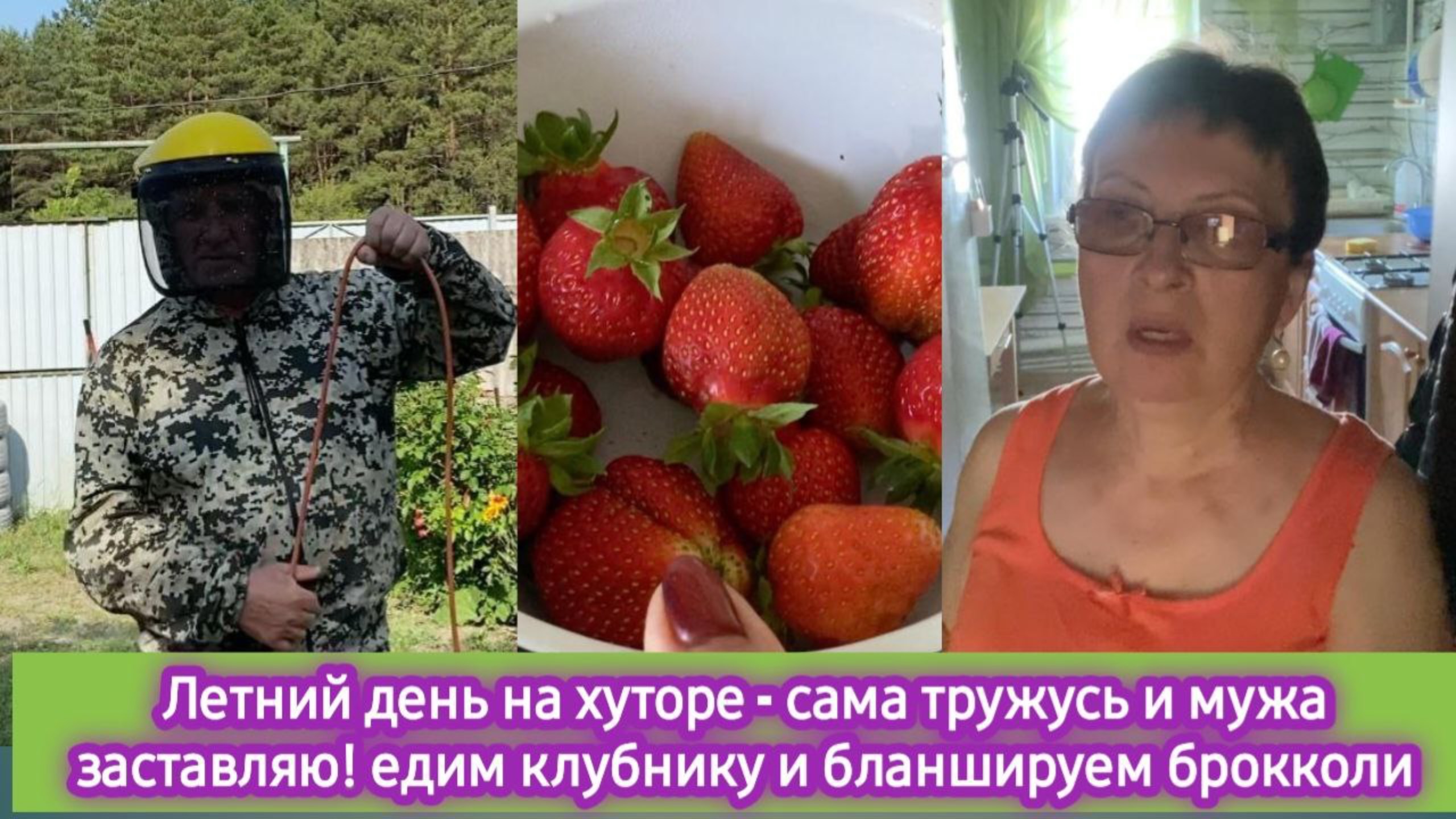 Летний день на хуторе - сама тружусь и мужа заставляю.  Едим клубнику и бланшируем брокколи