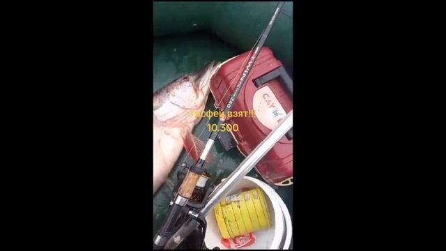 Рыбацкая страсть Клев по крупному Часть 14