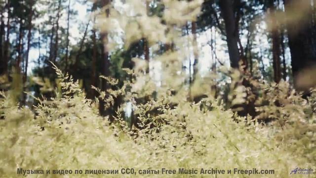 Природа оживает, стоит лишь дать музыке разлиться - Inspirational Outlook -- Scott Holmes Music -- C