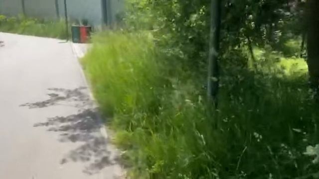 Река Вместо Тропы: Заблудиться Нарочно»
