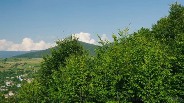 Кадры притягивают к себе, пока музыка пробирает насквозь - Connect To Highest Self -- Kirk Osamayo -