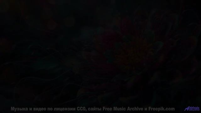 Это видео - как объятие древнего дерева! - Carefree Morning -- Scott Holmes Music -- Happy Backgroun