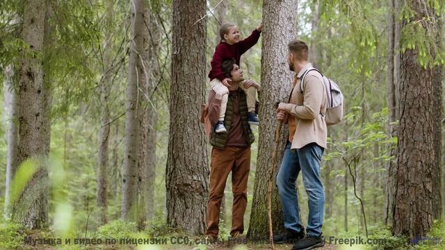 Эти кадры под этот саунд лечат без лекарств - Under A Canopy -- Kirk Osamayo -- Season Two (GREEN)