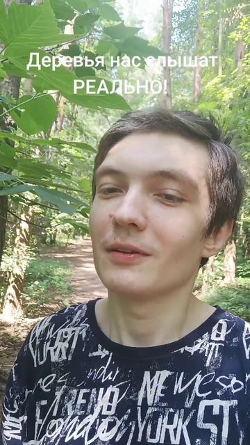 Деревья нас слышат
