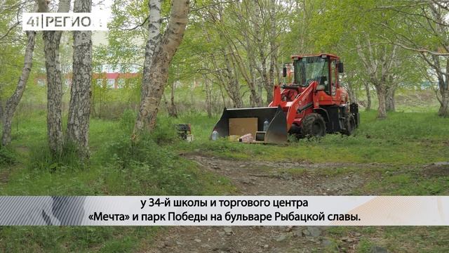 РОЩУ МЕЖДУ «ДАЧНОЙ» И «ГОРИЗОНТОМ» ОБЛАГОРОДЯТ В ЭТОМ ГОДУ• НОВОСТИ КАМЧАТКИ
