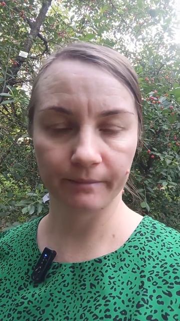 Можно ли аутизм увидеть во время беременности