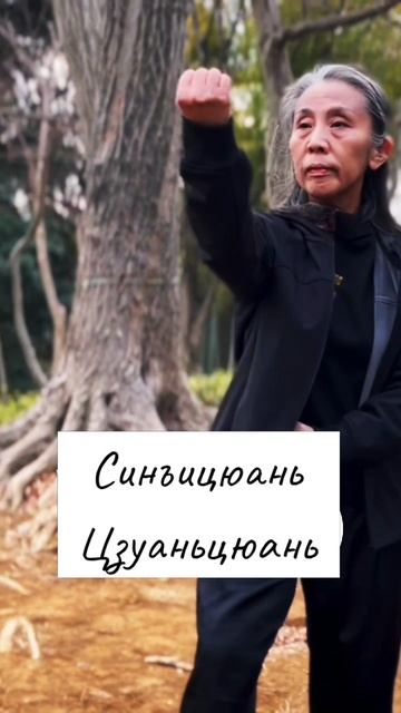 Лабиринт кунг-фу (Кунг-фу Мэйкю)