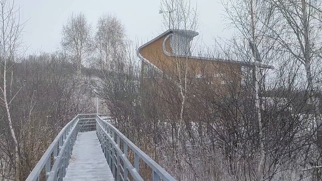 Лебединое 🦢 озеро, Алтайский край.