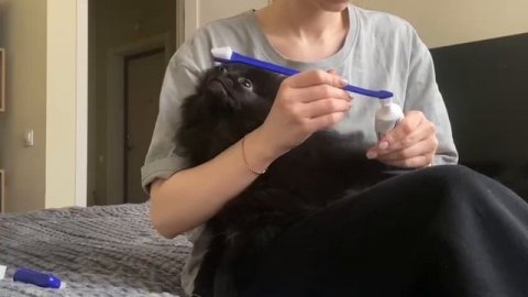 Всем привет, с вами бутчер!