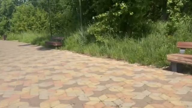Камни и Время: Куда Ведут Полевые Тропы